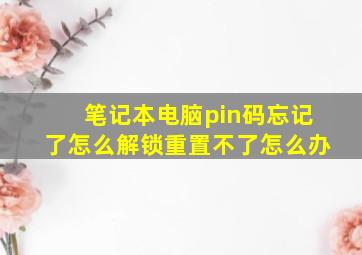 笔记本电脑pin码忘记了怎么解锁重置不了怎么办