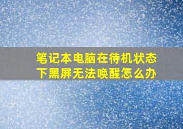 笔记本电脑在待机状态下黑屏无法唤醒怎么办