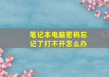 笔记本电脑密码忘记了打不开怎么办