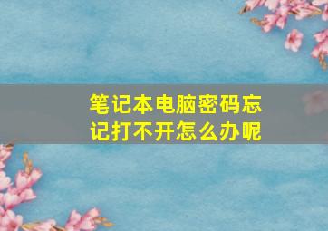 笔记本电脑密码忘记打不开怎么办呢