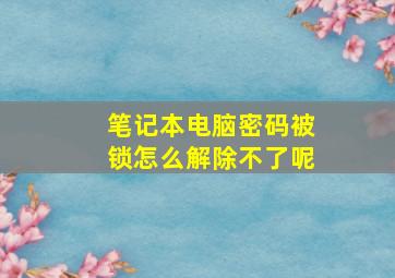 笔记本电脑密码被锁怎么解除不了呢