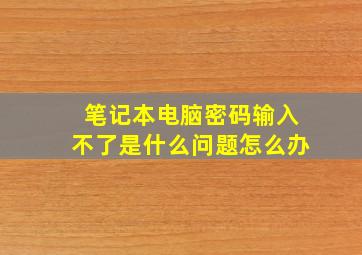 笔记本电脑密码输入不了是什么问题怎么办