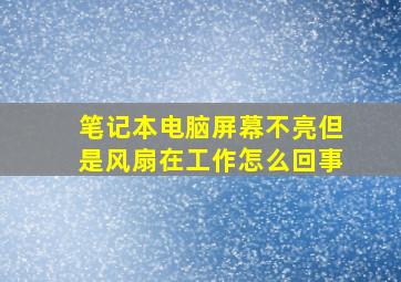 笔记本电脑屏幕不亮但是风扇在工作怎么回事