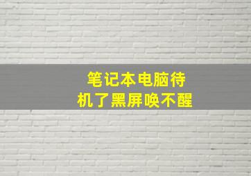 笔记本电脑待机了黑屏唤不醒