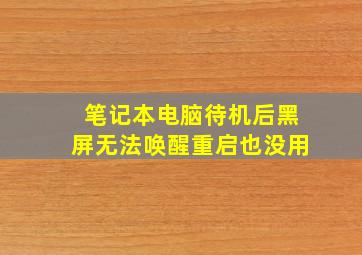 笔记本电脑待机后黑屏无法唤醒重启也没用