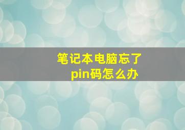 笔记本电脑忘了pin码怎么办