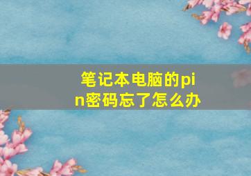 笔记本电脑的pin密码忘了怎么办