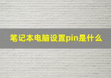 笔记本电脑设置pin是什么