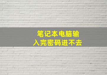 笔记本电脑输入完密码进不去