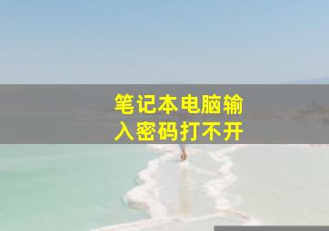 笔记本电脑输入密码打不开