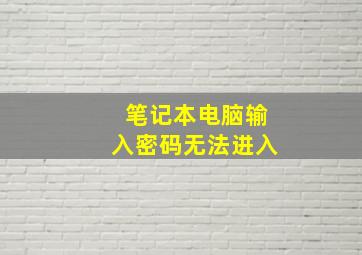 笔记本电脑输入密码无法进入