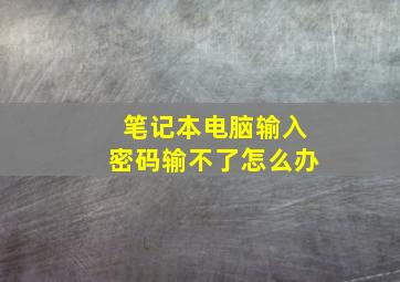 笔记本电脑输入密码输不了怎么办