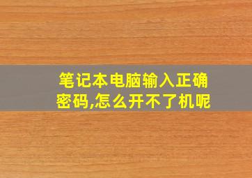 笔记本电脑输入正确密码,怎么开不了机呢