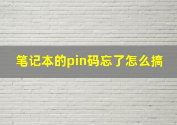 笔记本的pin码忘了怎么搞