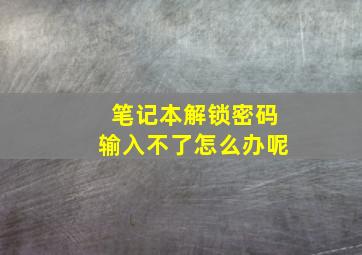 笔记本解锁密码输入不了怎么办呢