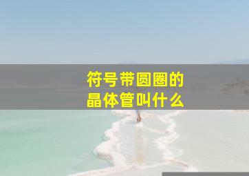 符号带圆圈的晶体管叫什么