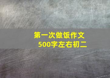 第一次做饭作文500字左右初二