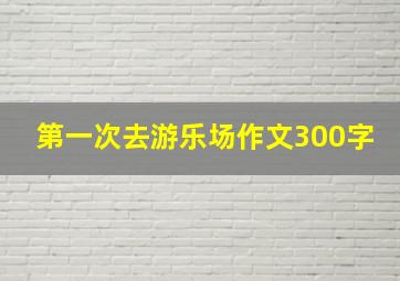 第一次去游乐场作文300字