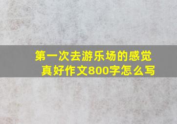 第一次去游乐场的感觉真好作文800字怎么写