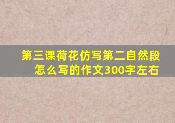 第三课荷花仿写第二自然段怎么写的作文300字左右