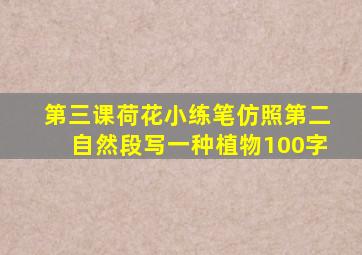 第三课荷花小练笔仿照第二自然段写一种植物100字