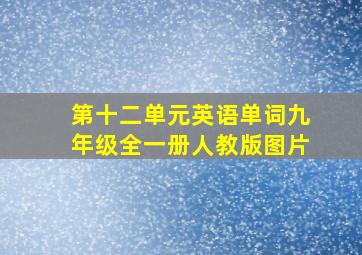 第十二单元英语单词九年级全一册人教版图片