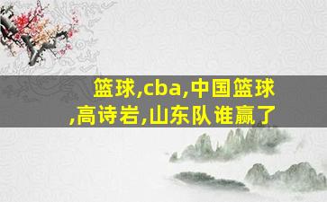 篮球,cba,中国篮球,高诗岩,山东队谁赢了