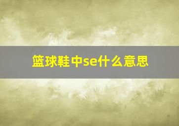 篮球鞋中se什么意思