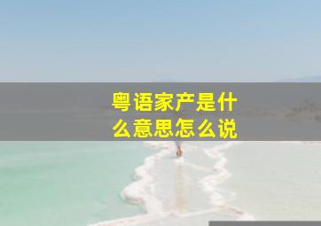 粤语家产是什么意思怎么说