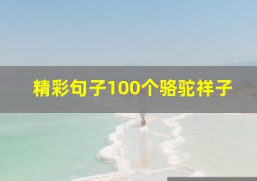 精彩句子100个骆驼祥子