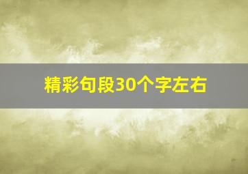 精彩句段30个字左右