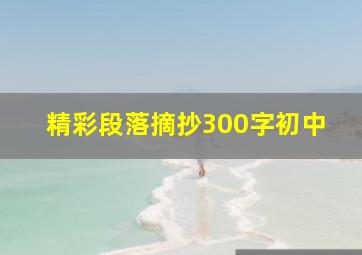 精彩段落摘抄300字初中