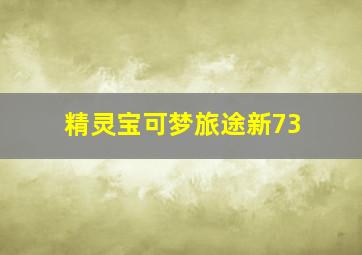 精灵宝可梦旅途新73