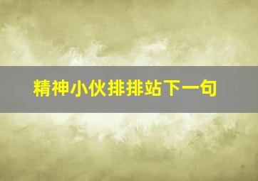 精神小伙排排站下一句