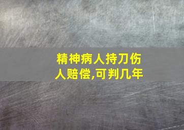 精神病人持刀伤人赔偿,可判几年