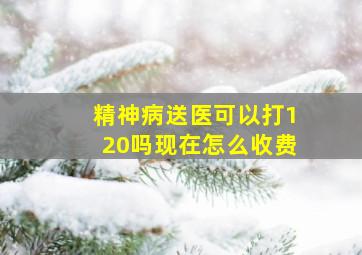 精神病送医可以打120吗现在怎么收费