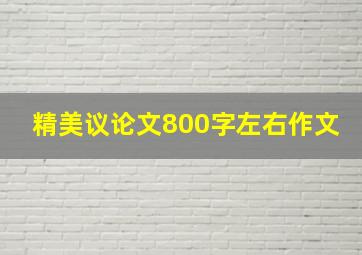 精美议论文800字左右作文