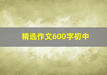 精选作文600字初中