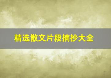 精选散文片段摘抄大全