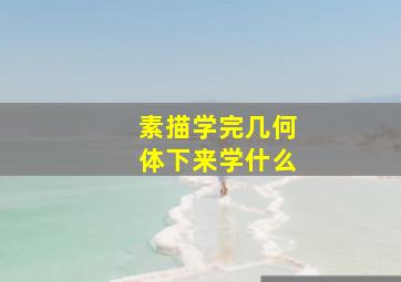 素描学完几何体下来学什么