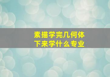 素描学完几何体下来学什么专业