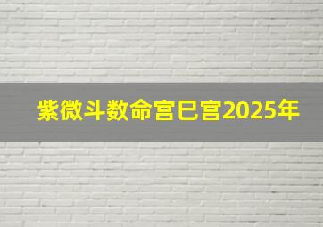 紫微斗数命宫巳宫2025年