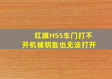 红旗HS5车门打不开机械钥匙也无法打开