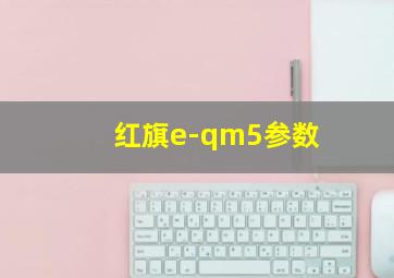 红旗e-qm5参数