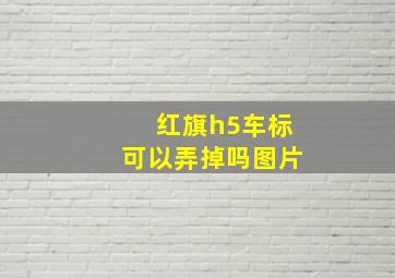 红旗h5车标可以弄掉吗图片