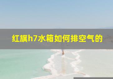 红旗h7水箱如何排空气的