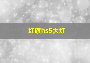 红旗hs5大灯