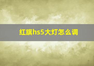 红旗hs5大灯怎么调