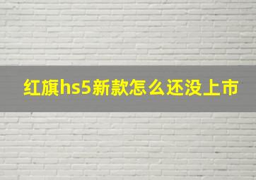 红旗hs5新款怎么还没上市