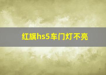 红旗hs5车门灯不亮